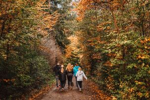 Auf Motivsuche im Wald.