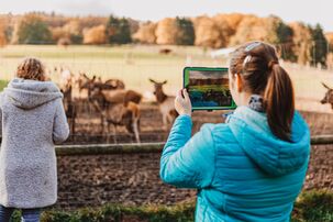 Fotografieren von Tieren