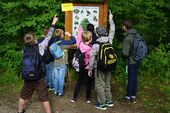 Lernende erkunden den Wald