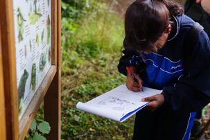 Waldjugendspiele