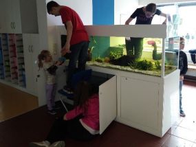 Fische AG